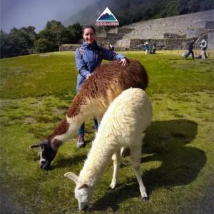 Machu Picchu full day