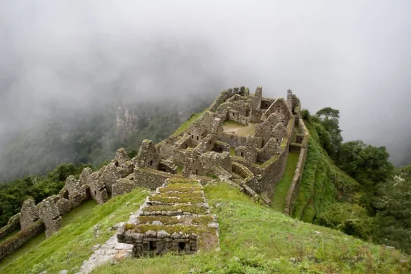 Camino Inca Machu Picchu 5D4N Wiñay Wayna