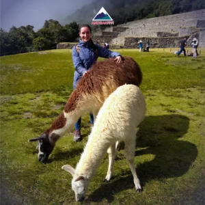 1 day Machu Picchu by train
