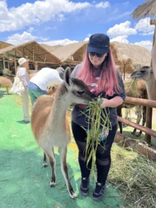 City Tour Cusco & Camelids Tour & Pachamanca experience