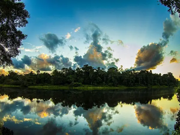 The peruvian amazon Puerto Maldonado and Manu