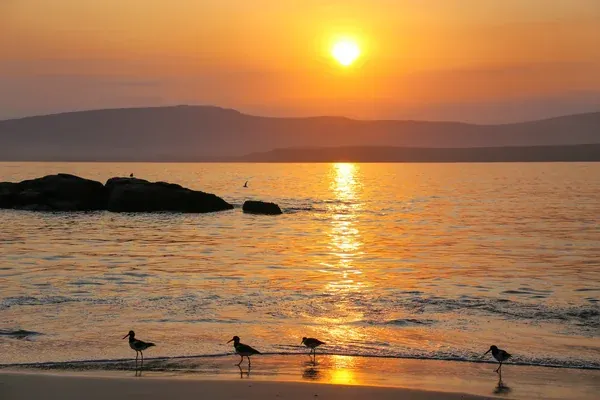 Descubre la magia de la costa peruana playas, cultura y sabores que te enamoran
