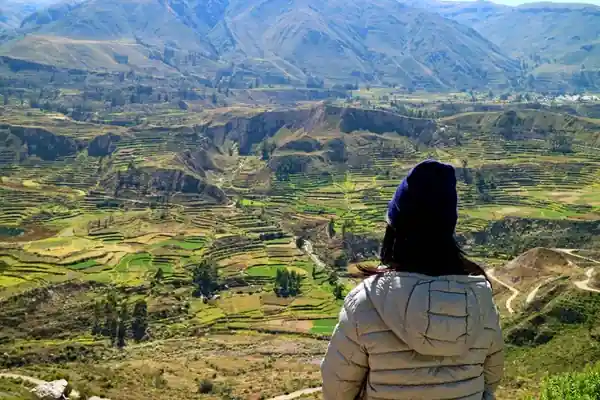 Cañón del Colca (Arequipa)