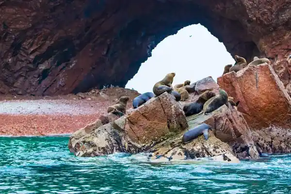 Islas Ballestas (Paracas, Ica)