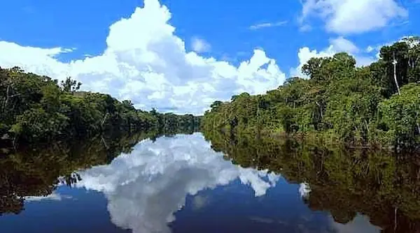 Reserva Nacional Pacaya Samiria (Loreto)