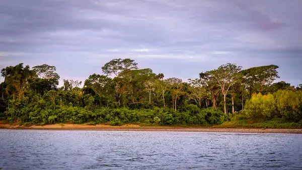 Reserva Nacional Tambopata (Madre de Dios)