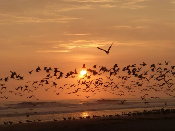 Playa Asia, Lima, Perú