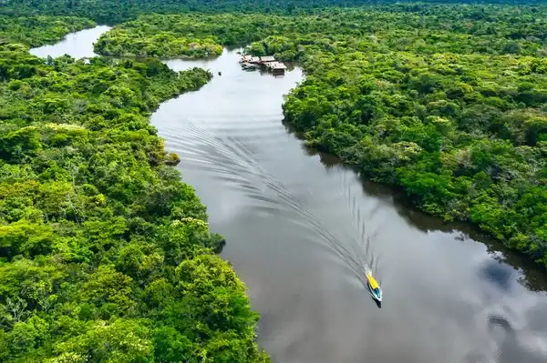 The peruvian amazon