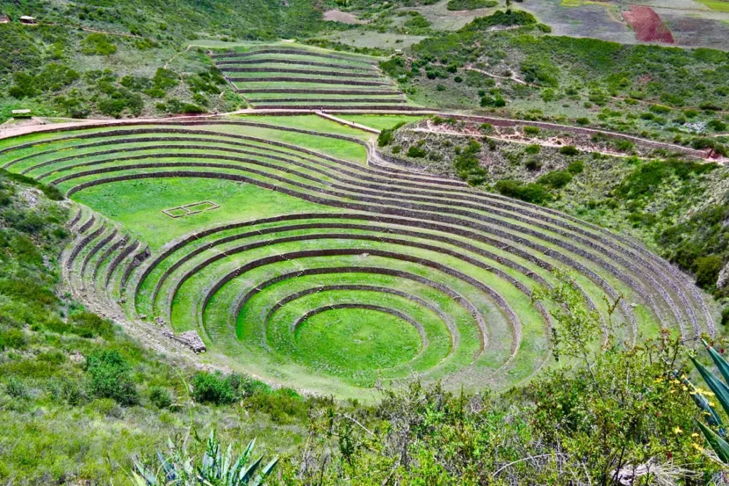 Inca Agriculture