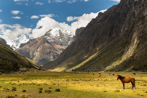 Altitude, climate, and natural conditions of the mountains in Peru