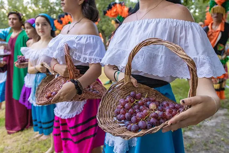 Uso de trajes típicos y vestimenta tradicional en festival de la vendimia en Ica