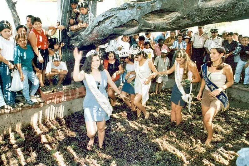 Festival Internacional de la Vendimia