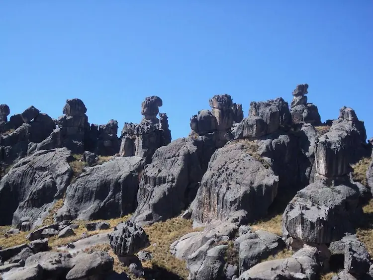 Bosque de Piedras de Huayllay, Pasco
