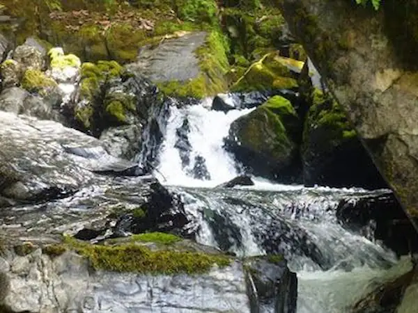 Pampa Hermosa, Junín