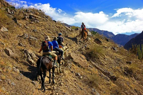 Cañón del Colca