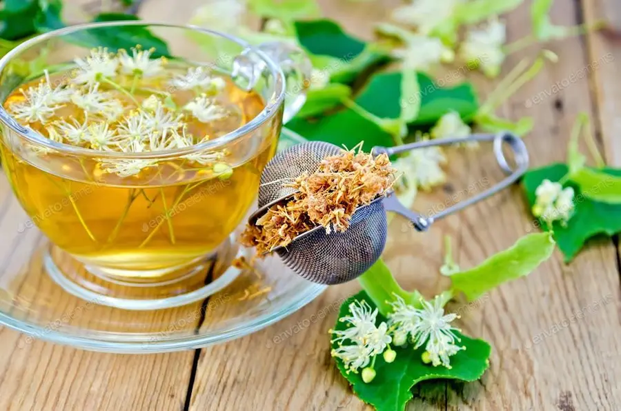 Therapeutic properties of andean plants