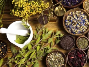 andean plants